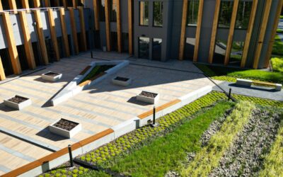 Mała architektura z betonu architektonicznego – siedziba Lasy Państwowe w Szczecin