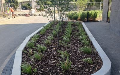 Modułowa donica z betonu architektonicznego – osiedle mieszkaniowe w Warszawa